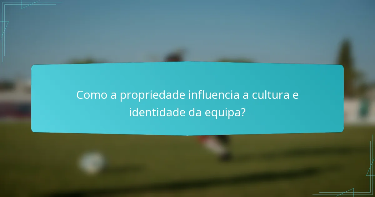 Como a propriedade influencia a cultura e identidade da equipa?
