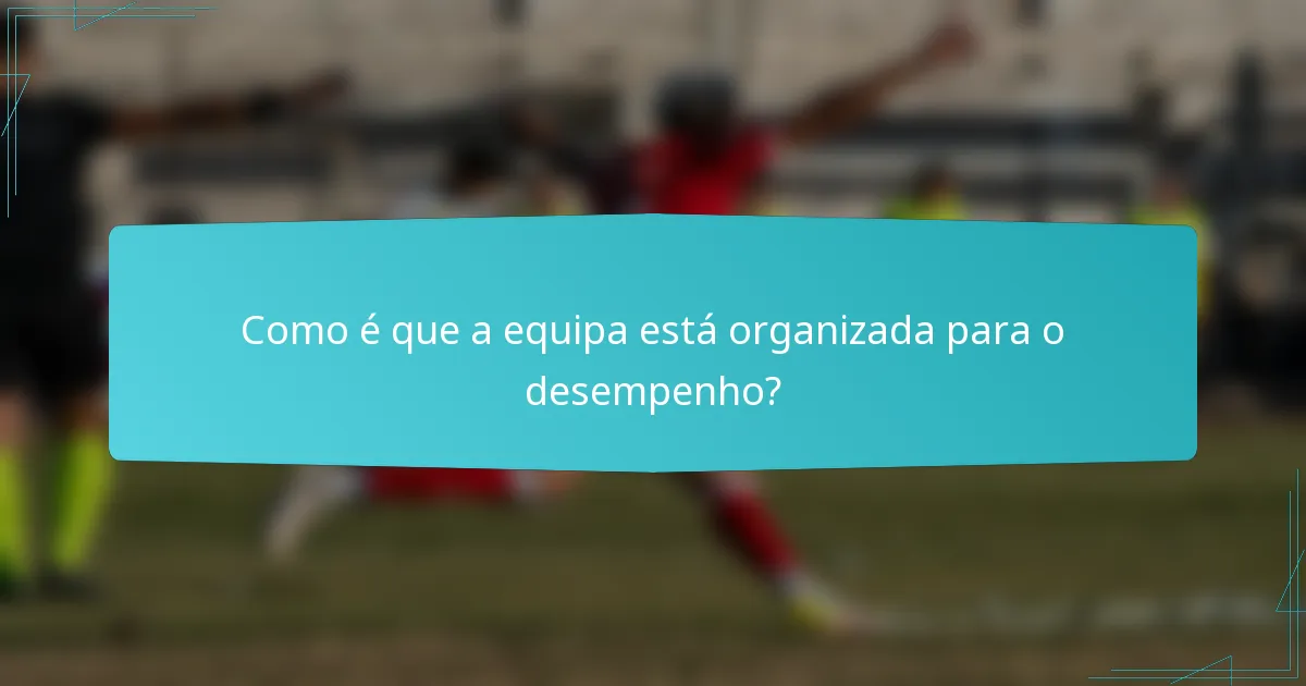 Como é que a equipa está organizada para o desempenho?